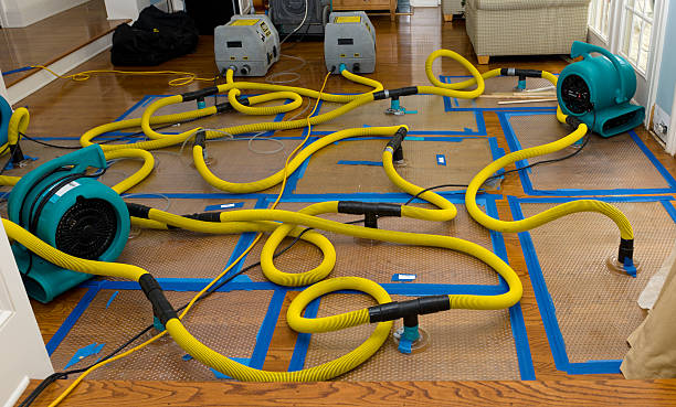 Professional Crawl Space Water Removal technician working in Apple Valley, CA
